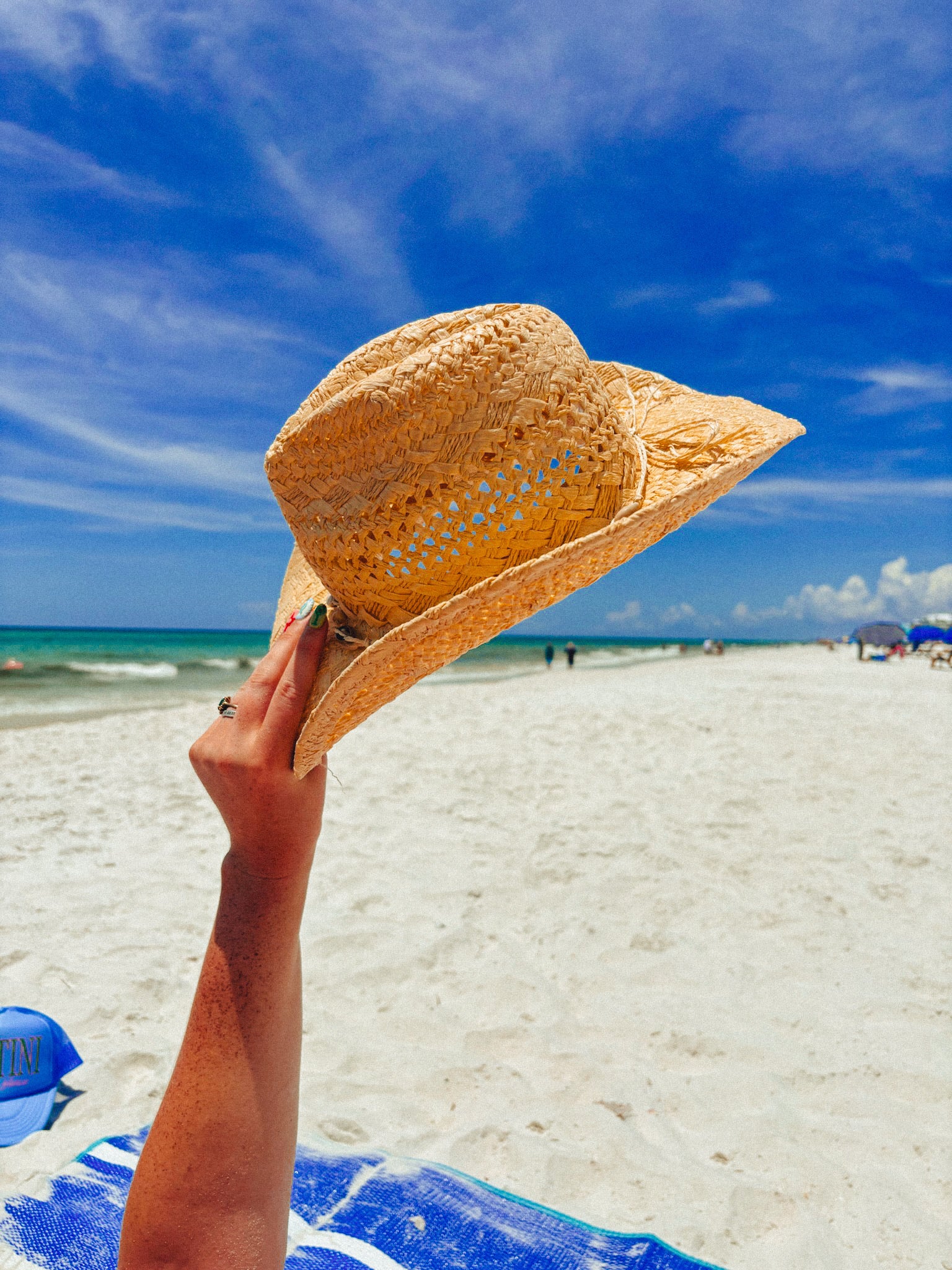 Straw Shell Detail Cowboy Hat
