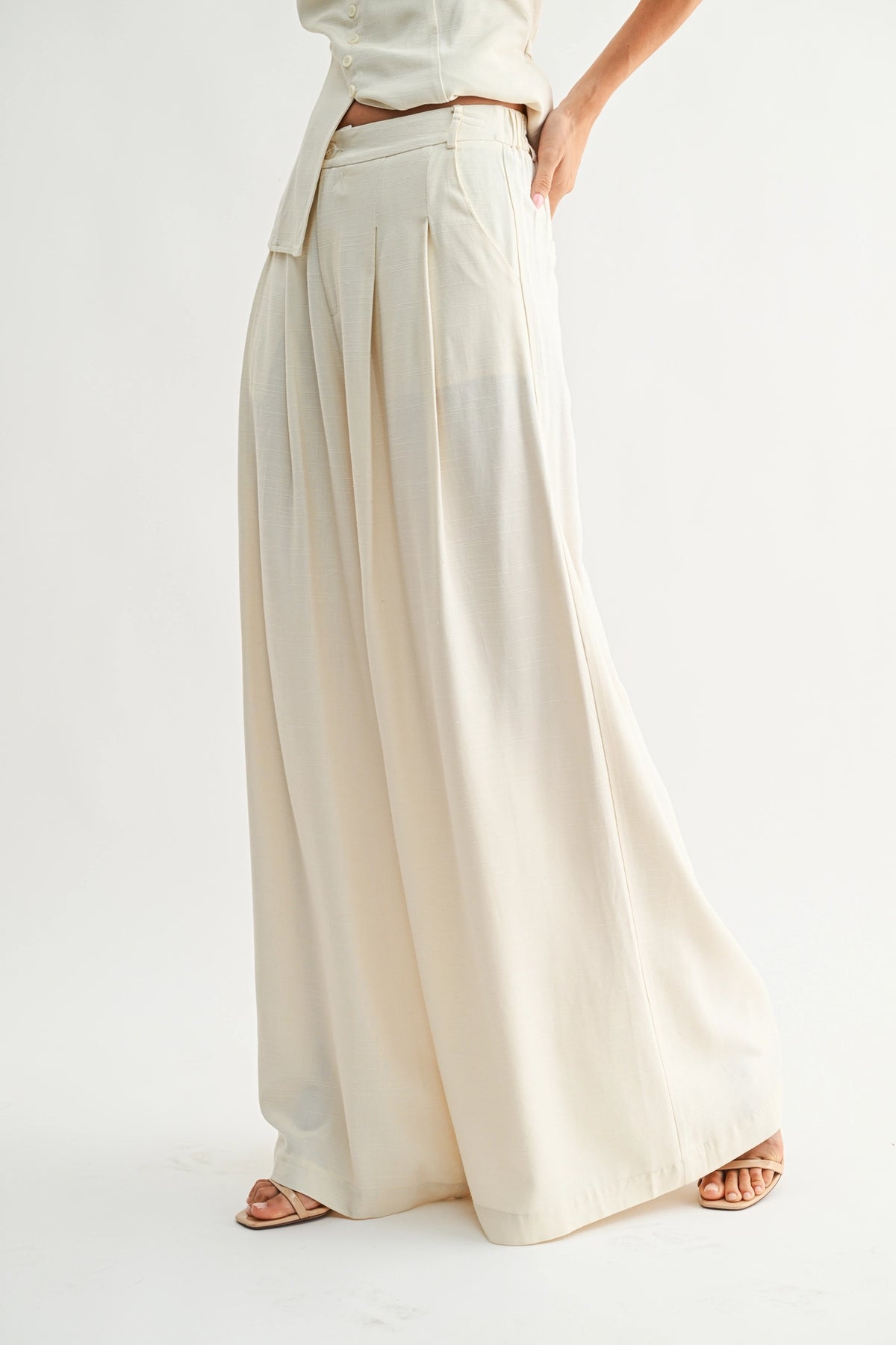 Linen Blend Wide-Leg Pleated Trousers