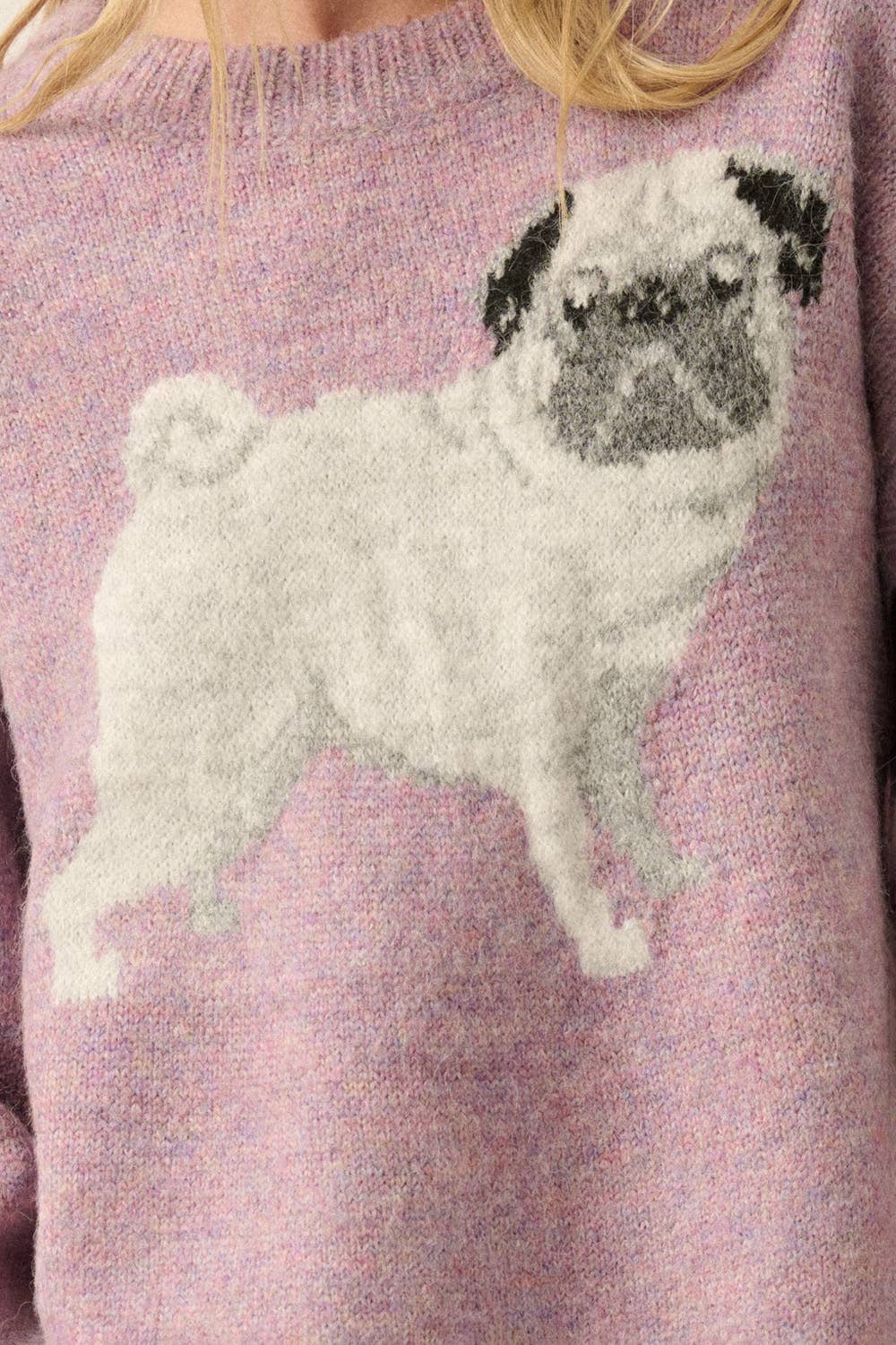 Pug Dog Solid Knit Relaxed-Fit Sweater