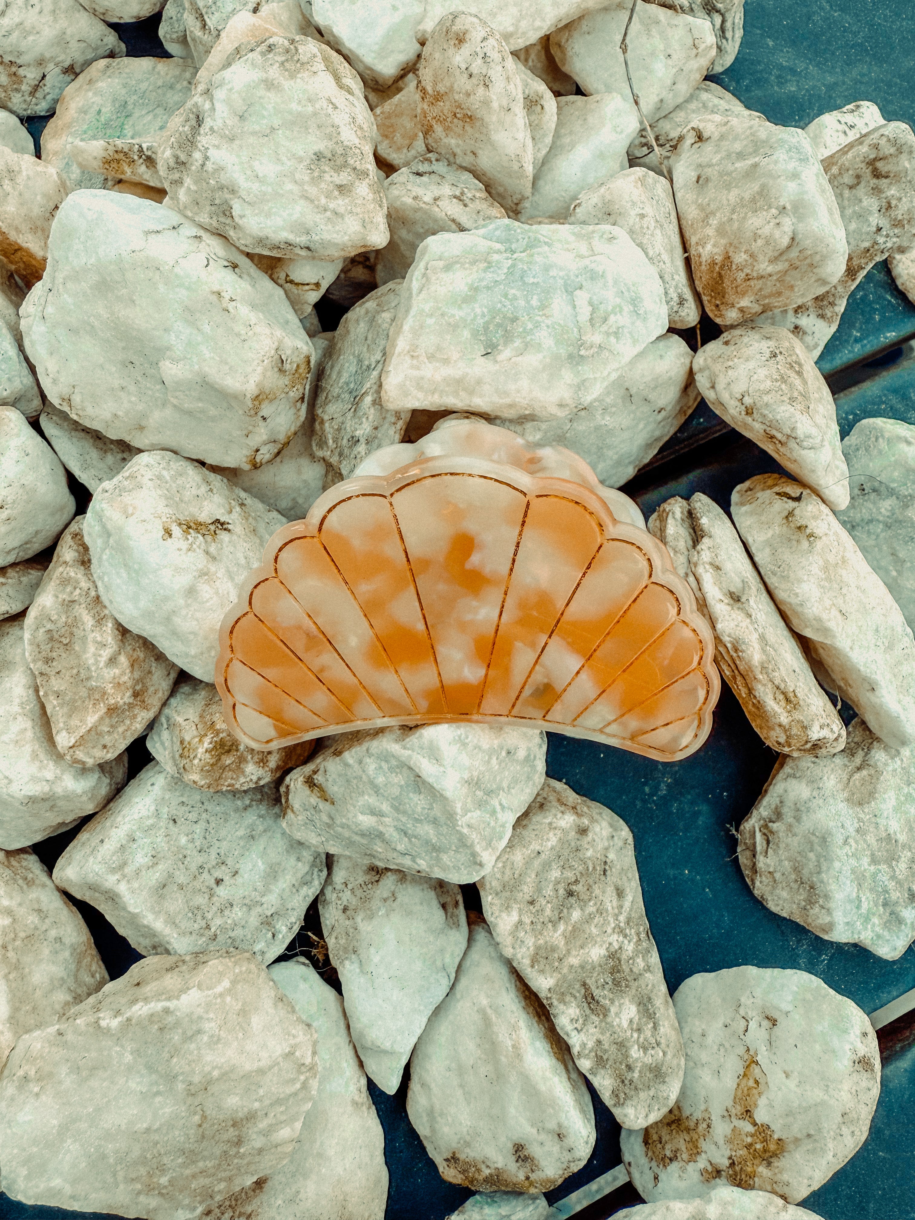 Seashell Gold Accented Claw Clip